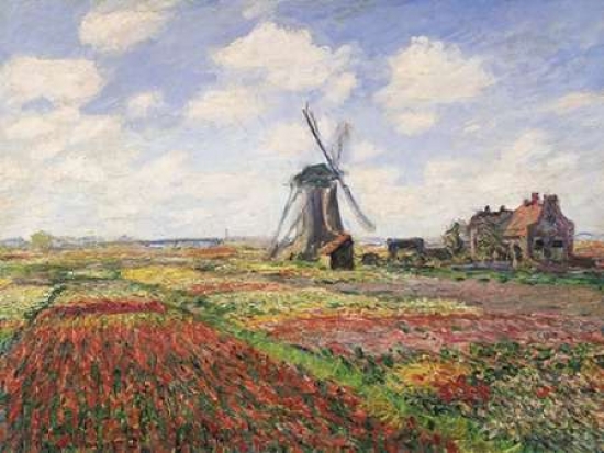 Tulip Fields with Windmill Poster Print by Claude Monet - 11 x 14 - Small