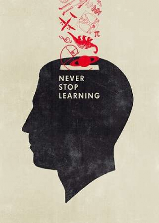 Never Stop Learning Poster Print by Hannes Beer - 20 x 28 - Large