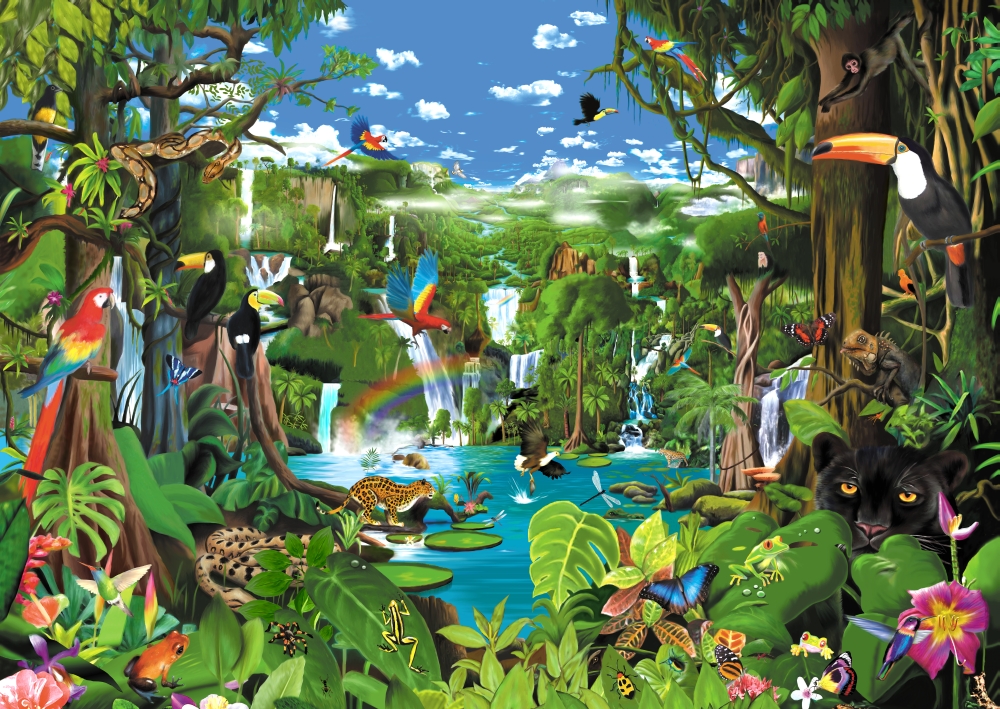 Magnificent Rainforest Poster Print by Gerald Newton, 18 x 12