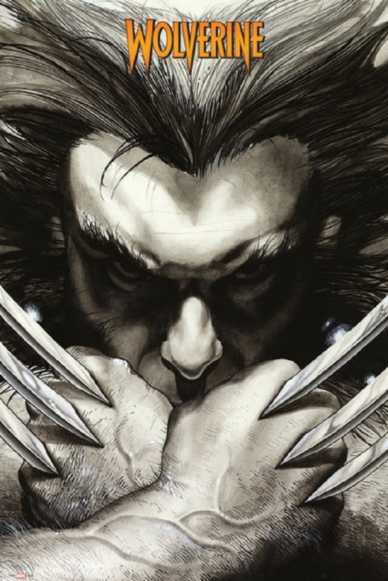 XPE160247 Marvel Wolverine Claws Poster Print, 24 x 36