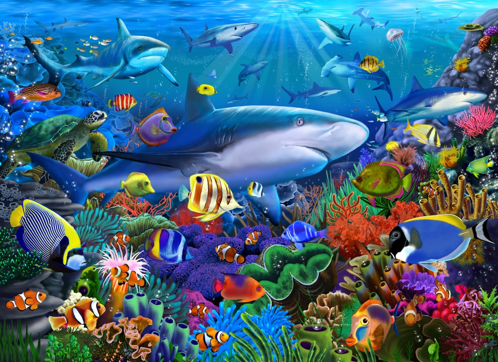 Shark Reef Poster Print by Gerald Newton - 18 x 12
