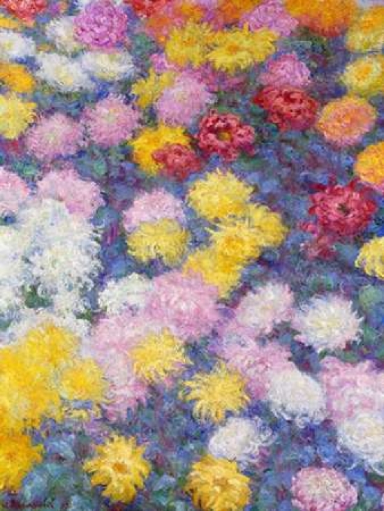 Chrysanthemums Poster Print by Claude Monet - 11 x 14 - Small