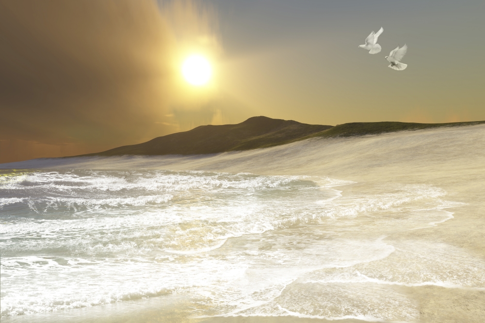 Two White Doves Fly Over Racing Waves Coming To Shore On A Remote Beach Poster Print