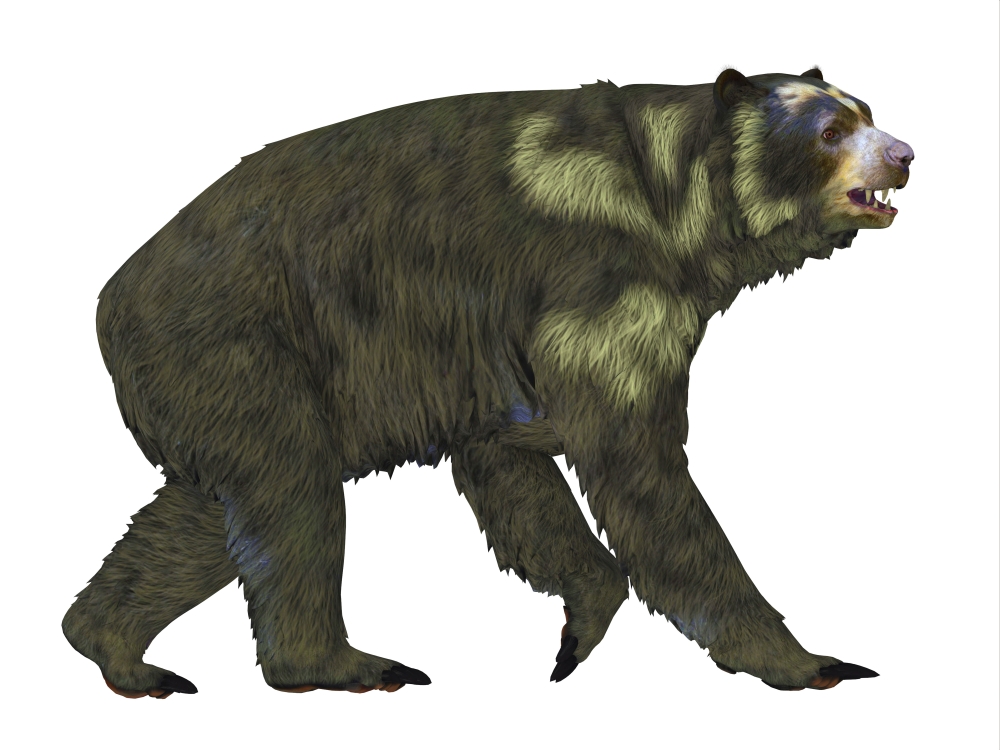 Picture of   Side View of An Arctodus Short-Faced Bear Arctodus Also Known As The Short-Faced Bear is An Extinct Mammal That Lived in North America During The Pleistocene Epoch Poster Print&#44; 16 x 12