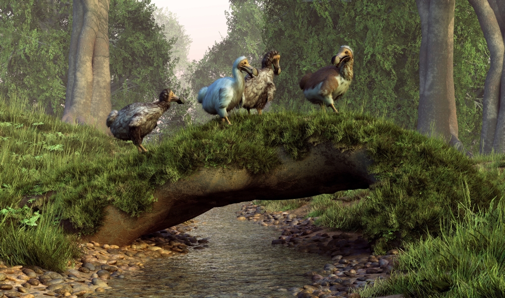 StockTrek Images PSTDEK600013P A Group of Dodo Birds Crossing A Natural Bridge Over A Stream Poster Print, 18 x 10