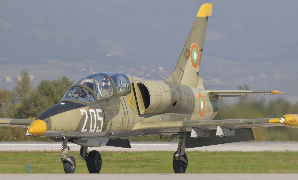 A Bulgarian Air Force L-39 Albatros Bulgaria Poster Print 18 x 10