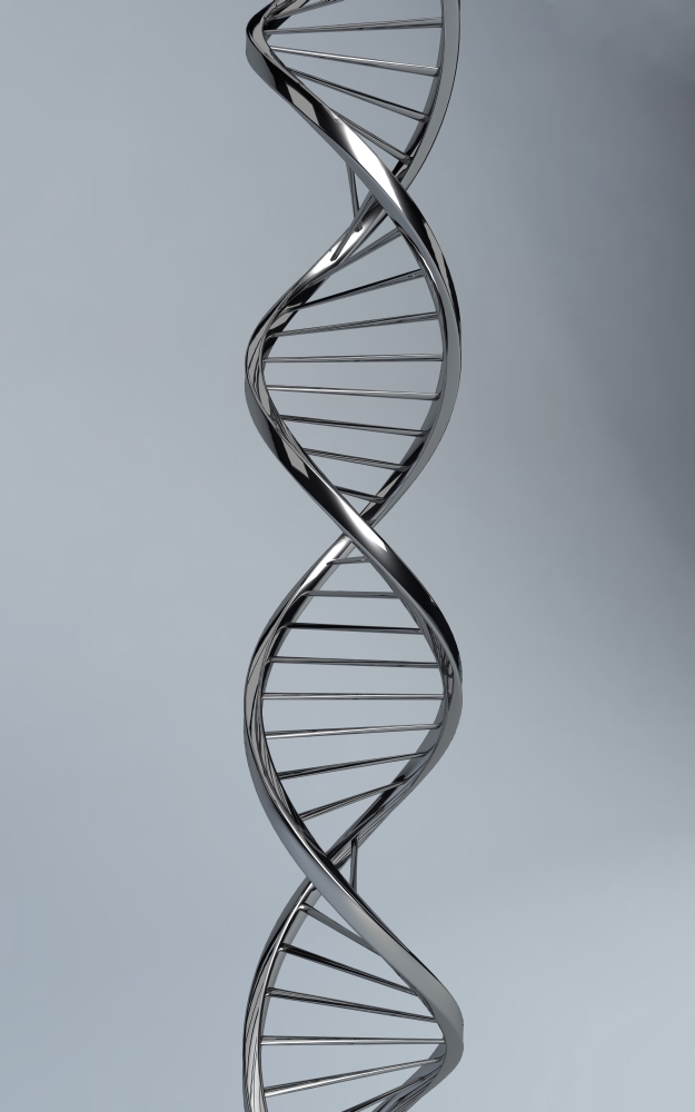 Conceptual Image of Dna Poster Print, 11 x 18