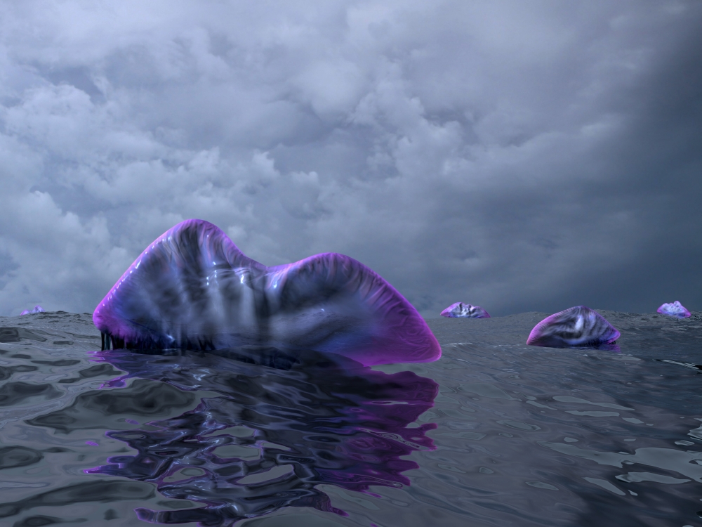 Portuguese Man O War Swarm Over The Surface of A Cambrian Ocean Poster Print - 16 x 12