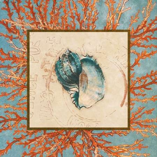 Coral Medley Shell II Poster Print by Lanie Loreth, 12 x 12 - Small
