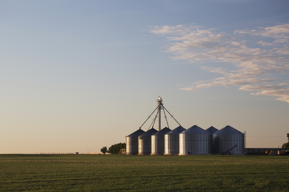Metal Grain Bins Reflecting Sunrise in An Early Growth Grain Field with Clouds & Blue Sky - Alberta Canad Poster Print - 19 x 12 in.