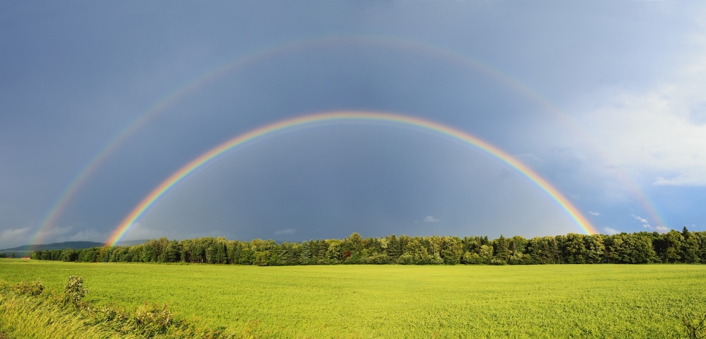 DPI12259595LARGE Double Rainbow Over Trees & Lush Green Field - Quebec Canada Poster Print - 44 x 20 in. - Large