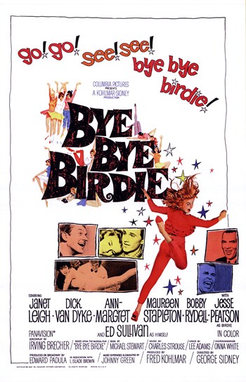 Bye Bye Birdie Movie Poster - 11 x 17
