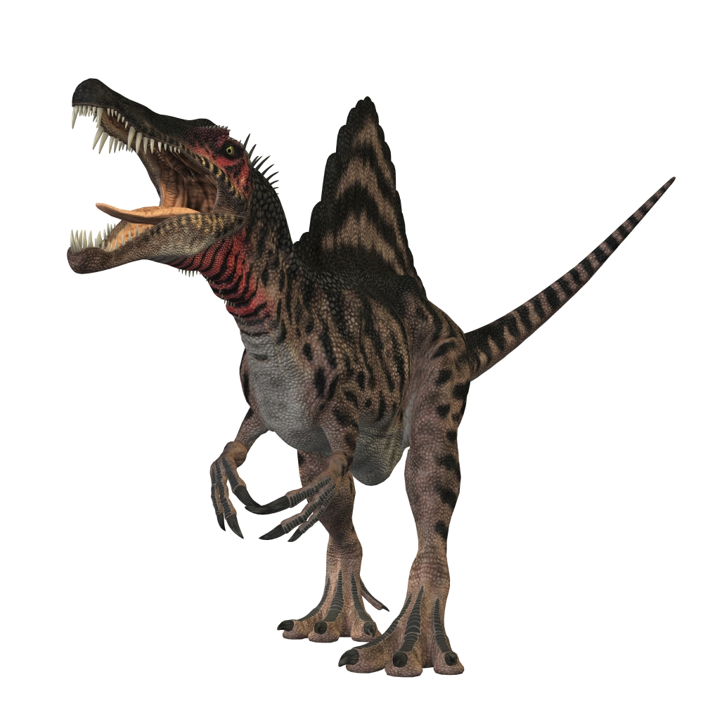 Spinosaurus Dinosaur Poster Print, 14 x 14