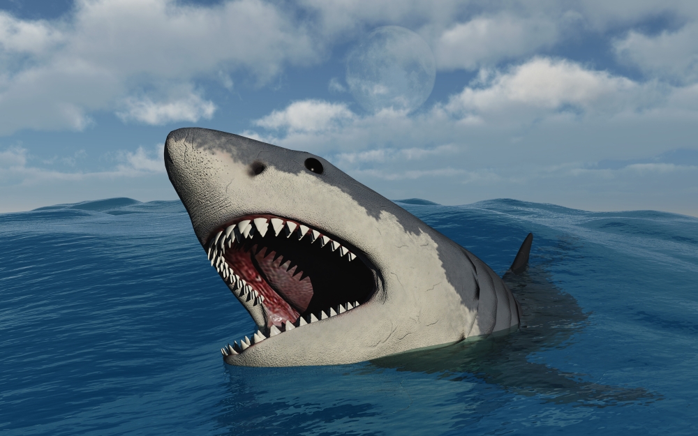 A Giant Megalodon Shark Poster Print, 18 x 11