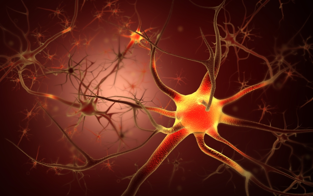 Conceptual Image of Neuron Poster Print - 17 x 11