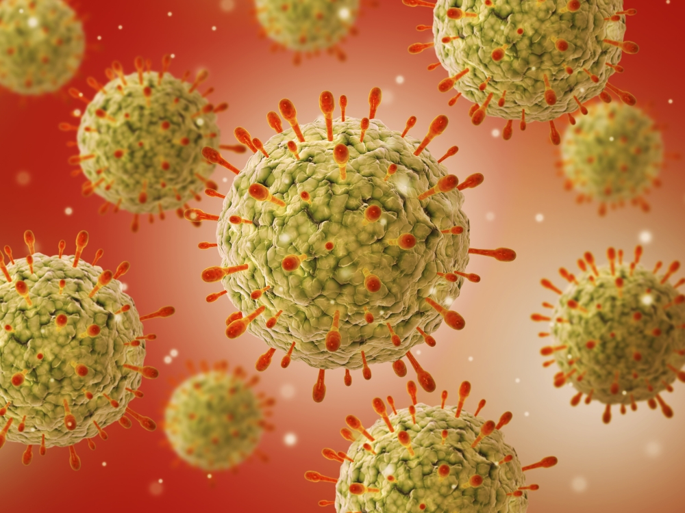 Microscopic View of Herpes Virus Poster Print - 32 x 24 - Large