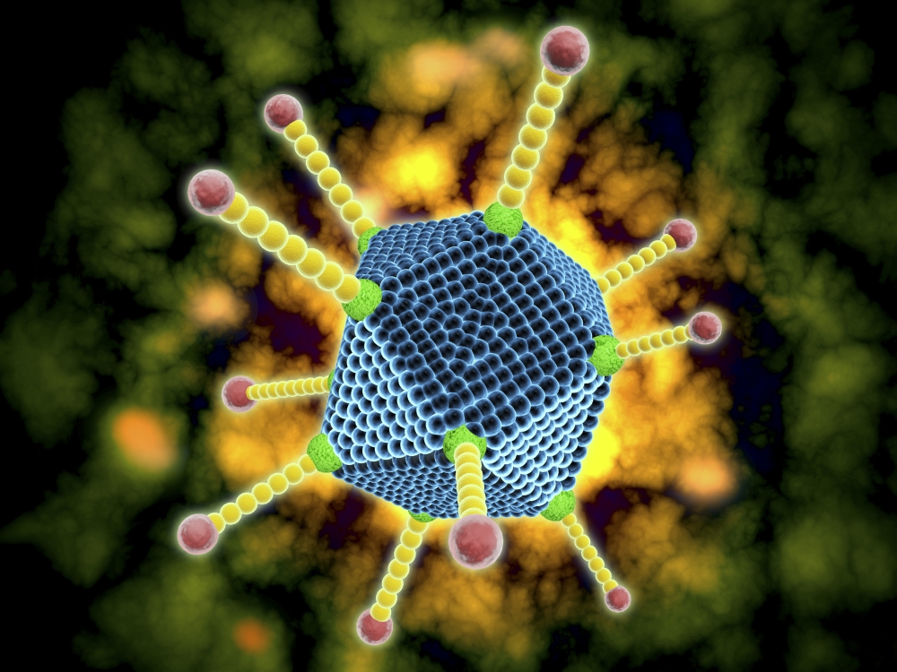 Picture of StockTrek Images PSTSTK701023H Microscopic View of The Common Cold Virus Poster Print, 16 x 12