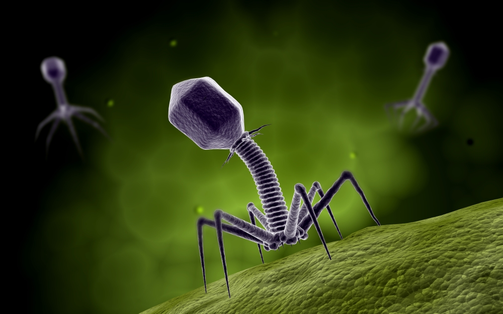 Microscopic View of Bacteriophage Poster Print, 35 x 22 - Large