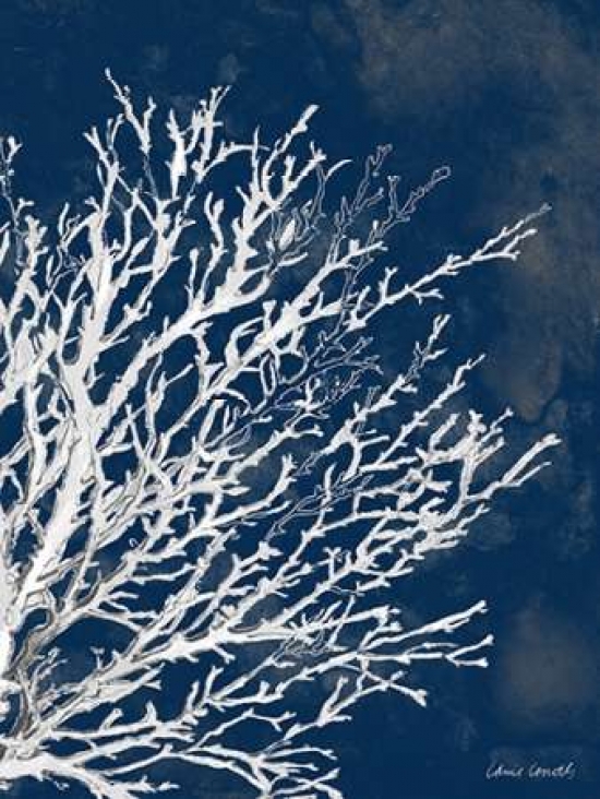Coastal Coral II Poster Print by Lanie Loreth, 9 x 12 - Small