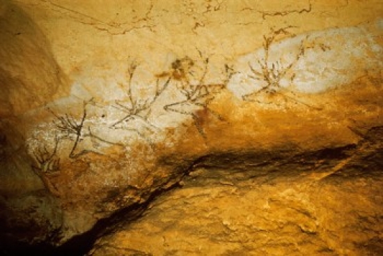 Superstock SAL900663 Frieze of Stags 15 000 Bc Prehistoric Art Cave Painting Lascaux Caves France Poster Print, 18 x 24