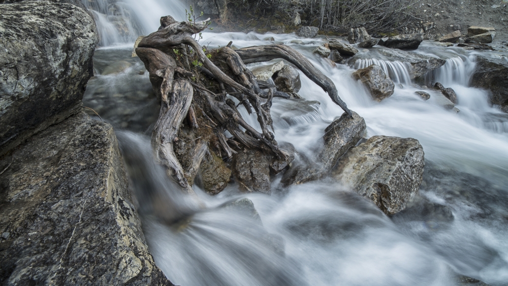 DPI12252405LARGE Tangle Creek Waterfalls Jasper National Park - Alberta Canada Poster Print - 40 x 22 in. - Large