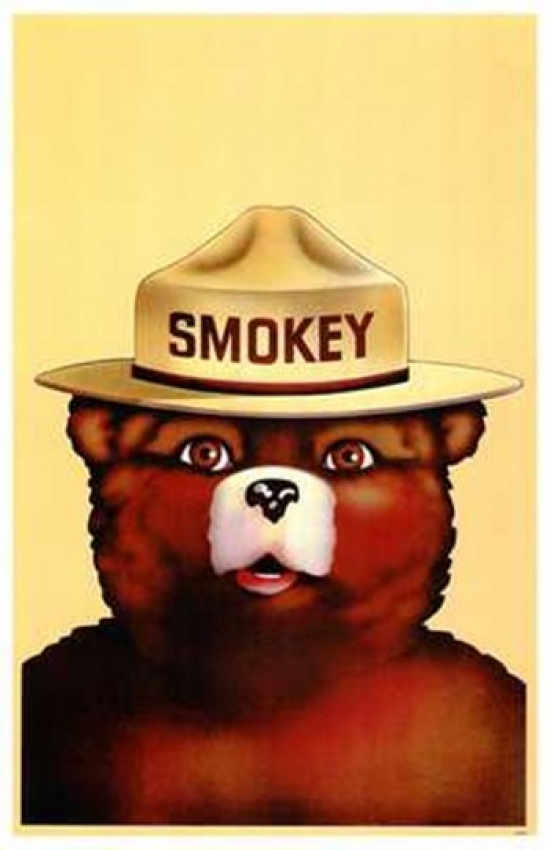 Smokey The Bear Movie Poster - 11 x 17