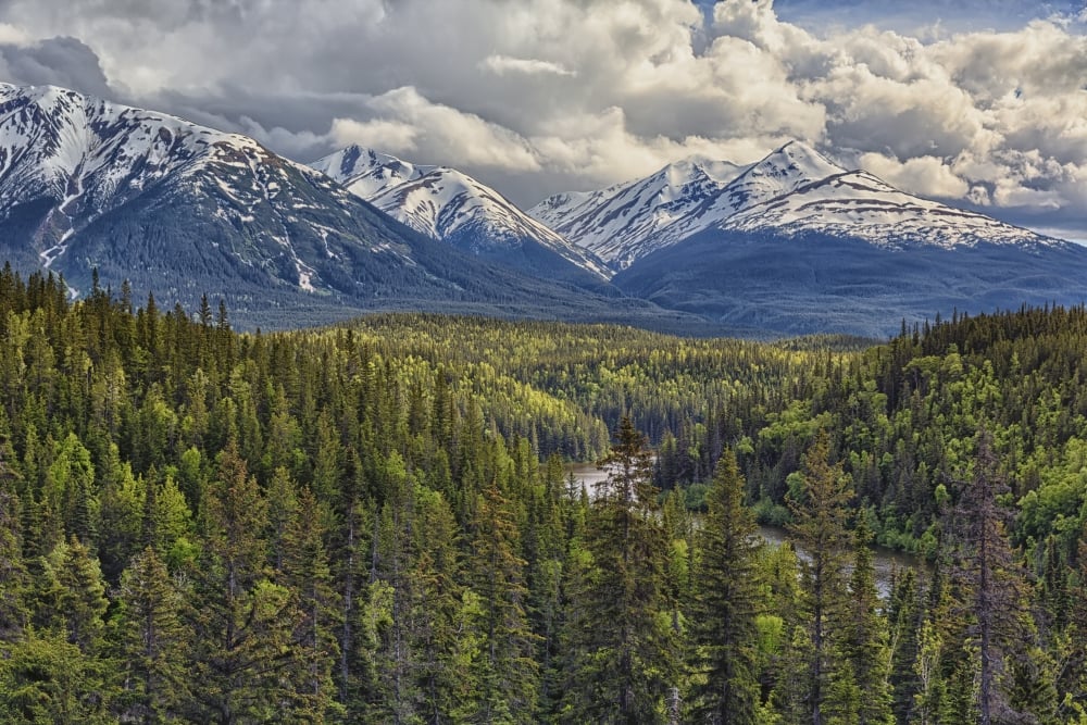 A Viewpoint Along The Stewart Cassiar Highway Shows The Coast Mountains Which Form Part of The Rocky Mountains - British Poster Print - 19 x 12 in.