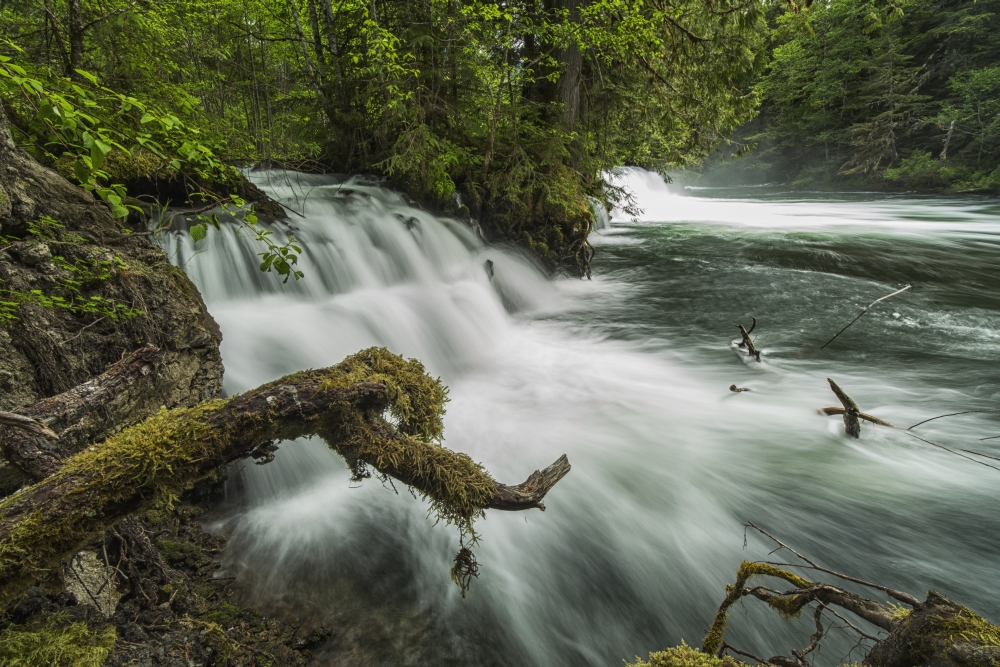A River Flows Over A Small Waterfall in NisgaA Memorial Lava Bed Provincial Park - British Columbia Canada Poster Print - 19 x 12 in.