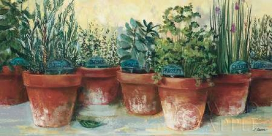PDX9000SMALL Potted Herbs II Poster Print by Carol Rowan, 10 x 20 - Small