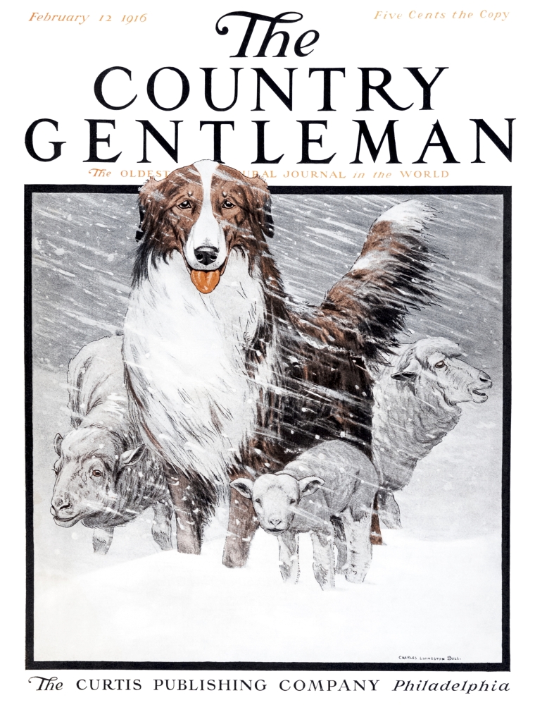 Cover of Country Gentleman Agricultural Magazine From The Early 20th Century Poster Print - 13 x 17 in.