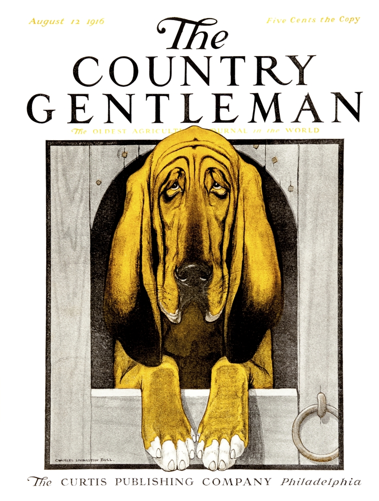 DPI12272324 Cover of Country Gentleman Agricultural Magazine From The Early 20th Century Poster Print - 13 x 17 in.