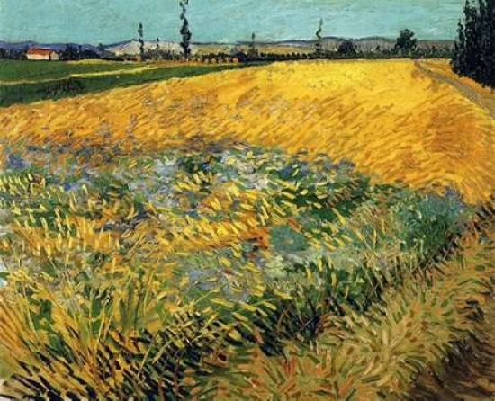 Wheatfield 1888 Poster Print by Vincent Van Gogh - Small