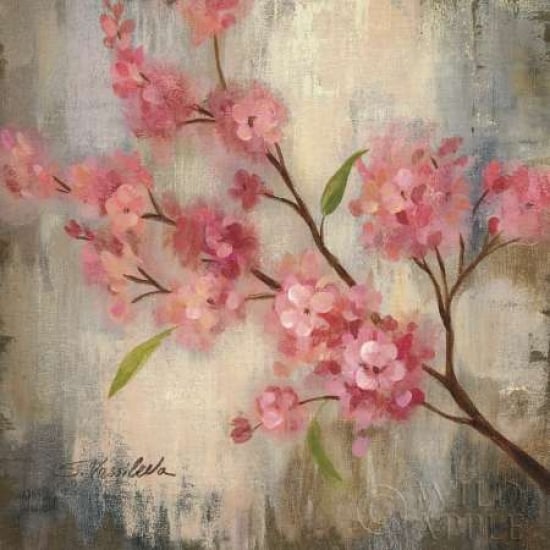 PDX10274SMALL Cherry Blossom II Poster Print by Silvia Vassileva, 12 x 12 - Small -  Wild Apple Graphics