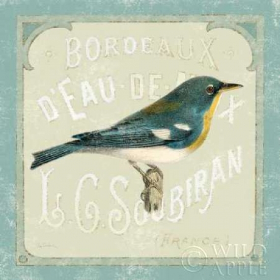 Parisian Bird I Poster Print by Sue Schlabach - 12 x 12 - Small