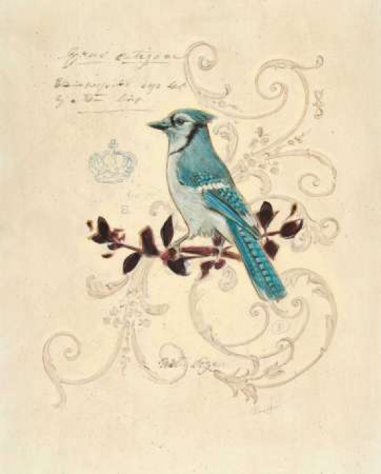 Picture of Art In Motion PDX122BAR1186SMALL Filigree Jay Poster Print by Chad Barrett&#44; 11 x 14 - Small