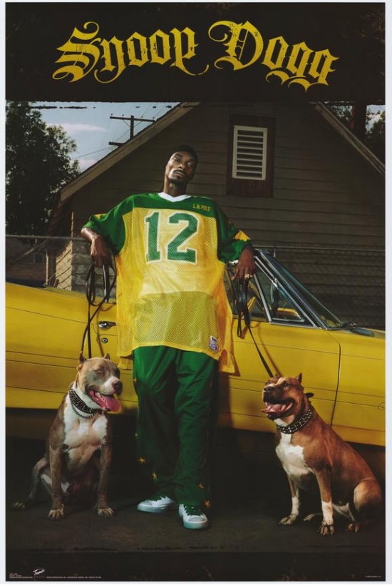 Snoop Dogg Movie Poster, 11 x 17