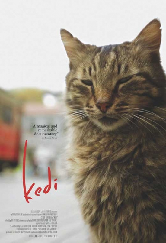 Kedi Movie Poster - 11 x 17