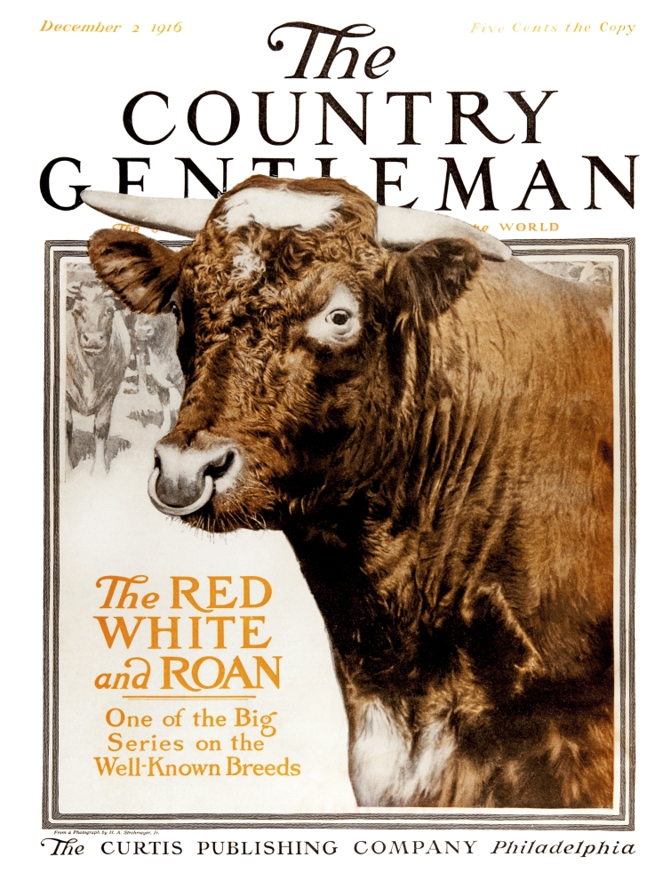 DPI12272396 Cover of Country Gentleman Agricultural Magazine From The Early 20th Century Poster Print - 13 x 17 in.