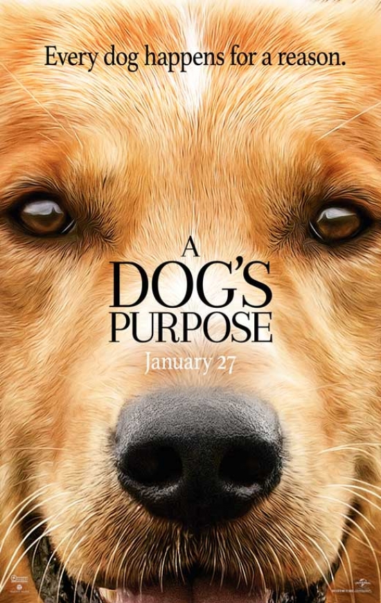 A Dog's Purpose Movie Poster - 11 x 17