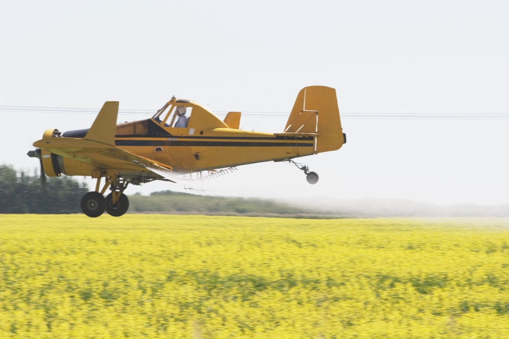 Crop Duster Spraying Flowering Canola Field Poster Print, 19 x 12