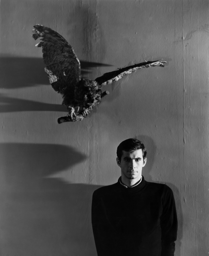 Psycho Photo Print - 8 x 10
