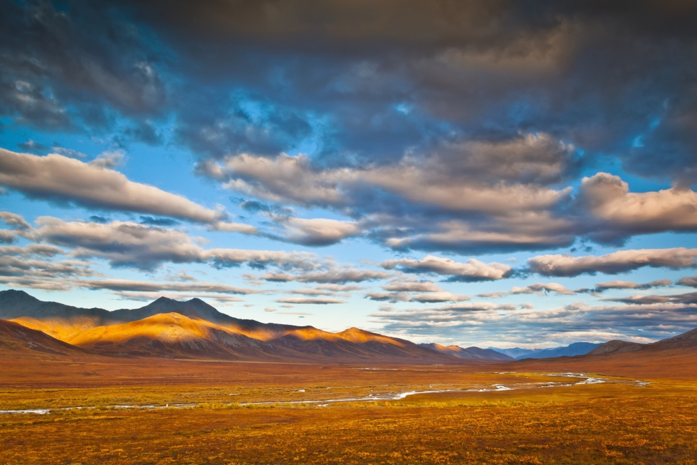 Evening Light on Brooks Range with The Chandalar River Meandering Through Colorful Tundra in The Foreground Gates of Th Poster Print - 19 x 12 in.