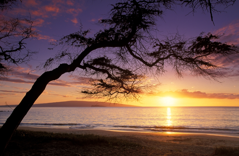 Picture of Design Pics DPI1998122 Hawaii Maui Palauea Beach Sunset with Hawaiian Island in Background Poster Print, 17 x 11
