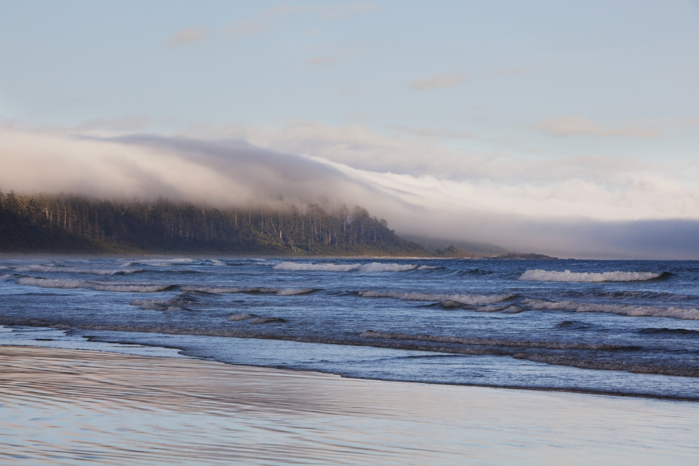 Picture of Design Pics DPI2025708 Fog Forms Over The Temperate Rainforest Along Long Beach in Pacific Rim National Park Near Tofino - British Columbia Canada Poster Print, 19 x 12