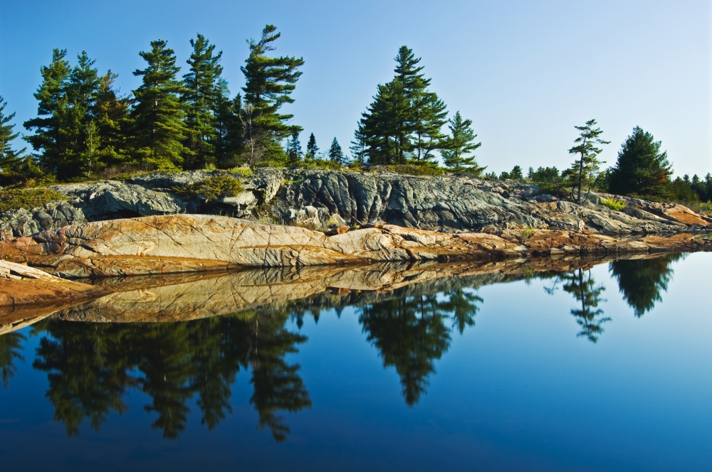 Trees Reflection in Water Georgian Bay Ont Poster Print, 18 x 12