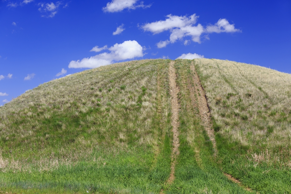DPI12259566 Tire Tracks on A Grassy Hill - Cypress Hills Saskatchewan Canada Poster Print - 19 x 12 in.