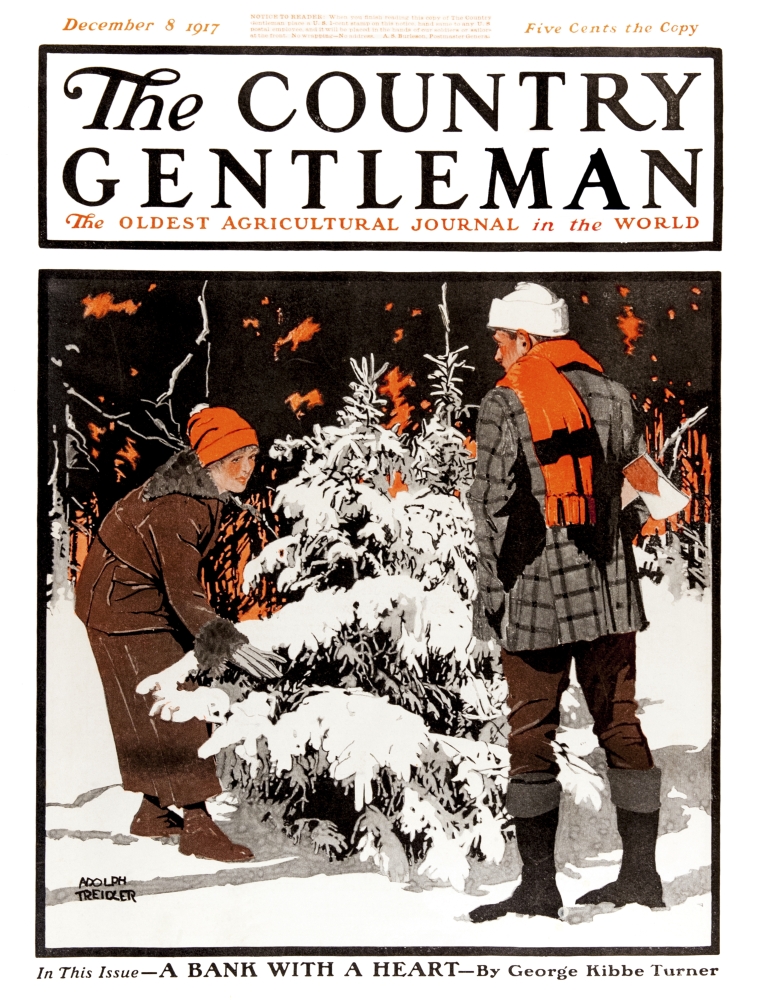 DPI12272470 Cover of Country Gentleman Agricultural Magazine From The Early 20th Century Poster Print - 13 x 17 in.