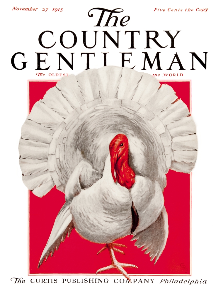 DPI12272489 Cover of Country Gentleman Agricultural Magazine From The Early 20th Century Poster Print - 13 x 17 in.