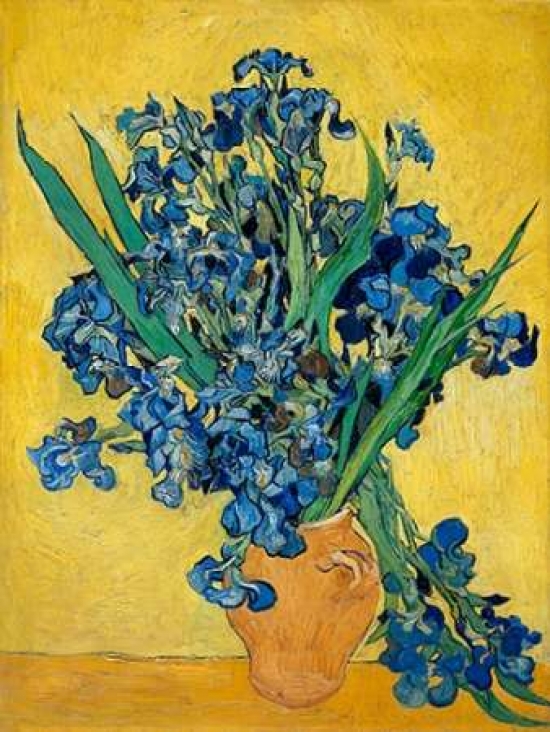 Irises Poster Print by Vincent Van Gogh, 11 x 14 - Small