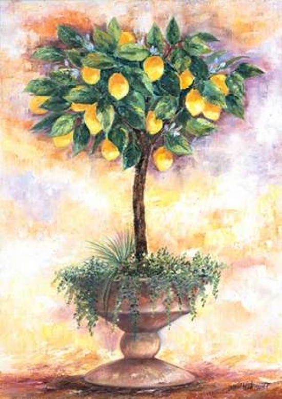 PDXFR080LARGE Lemon Tree Poster Print by Rian Withaar, 20 x 28 - Large